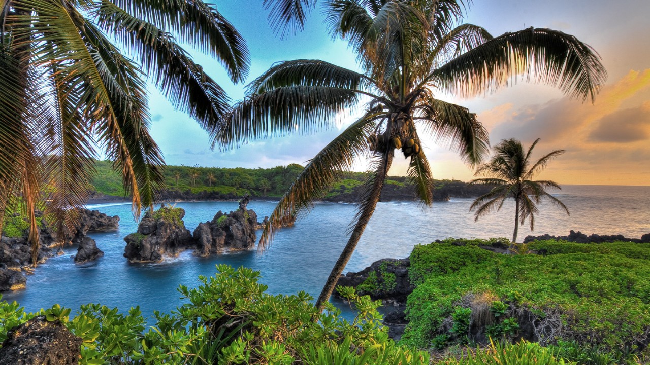 Hawaii landscape