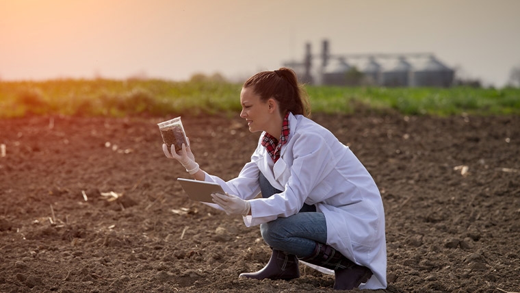 Agronomist working in field