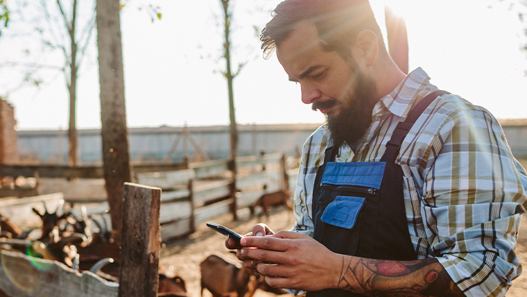 customer experience at the USDA